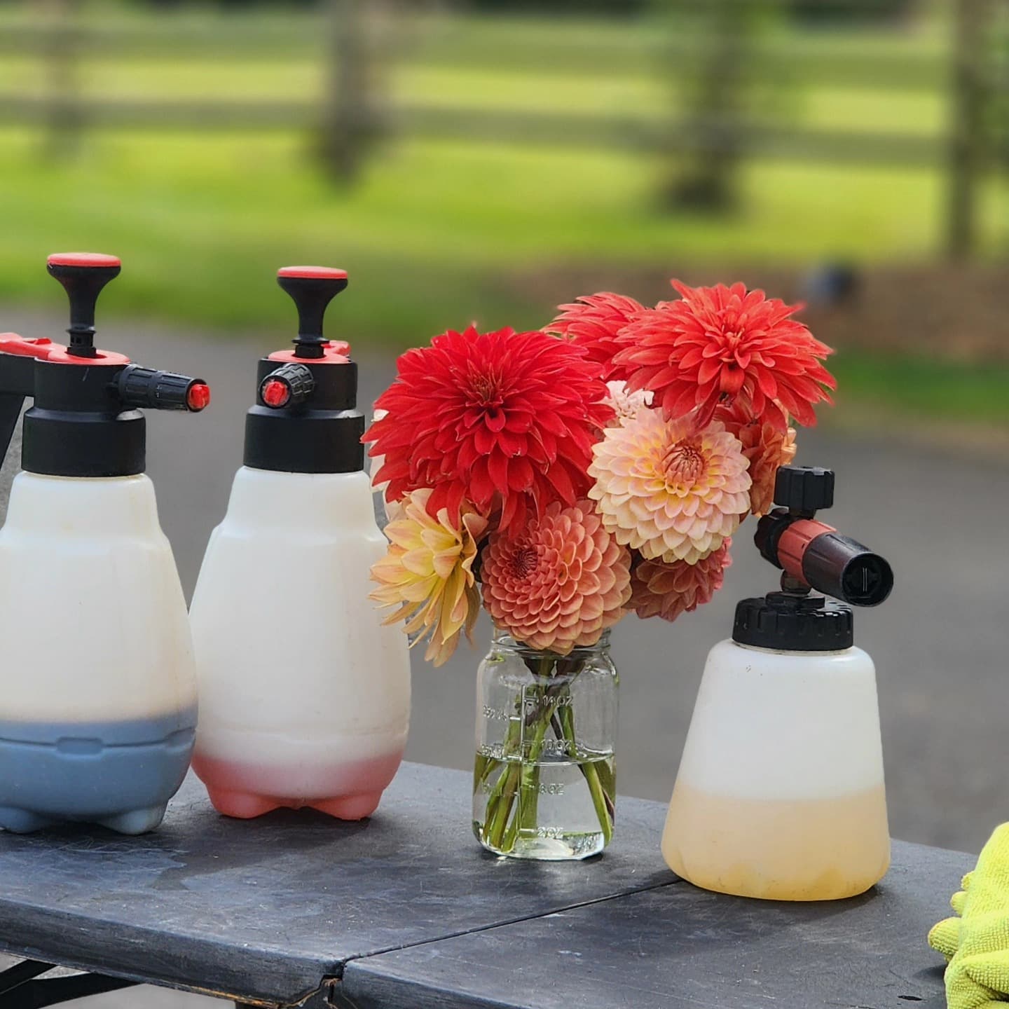 flowers and spray bottles