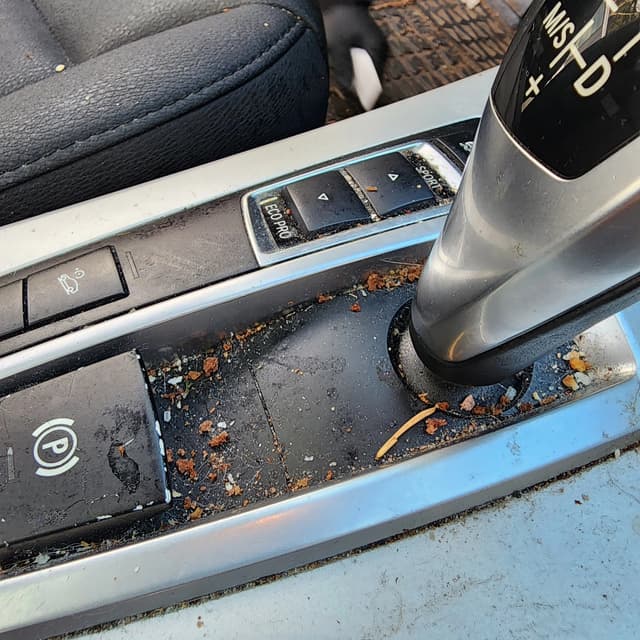 gear shifter covered in crumbs